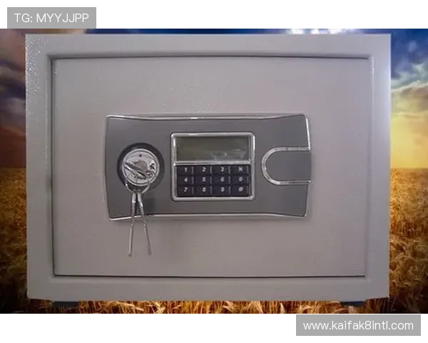 K8凯发游戏网址安全登录指南，帮助玩家轻松应对账号登录与密码保护